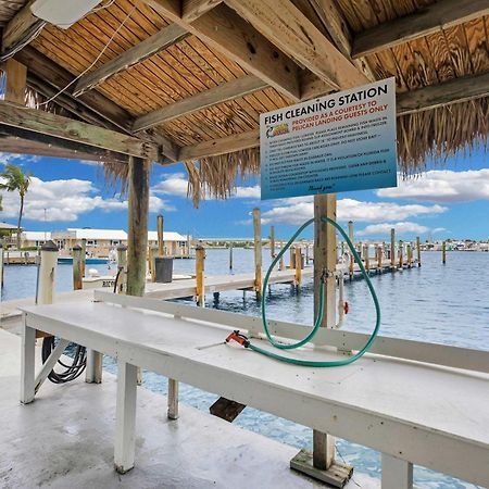 St Kitts - Downtown Waterfront Penthouse Pool Dock Parking Villa Key West Ngoại thất bức ảnh